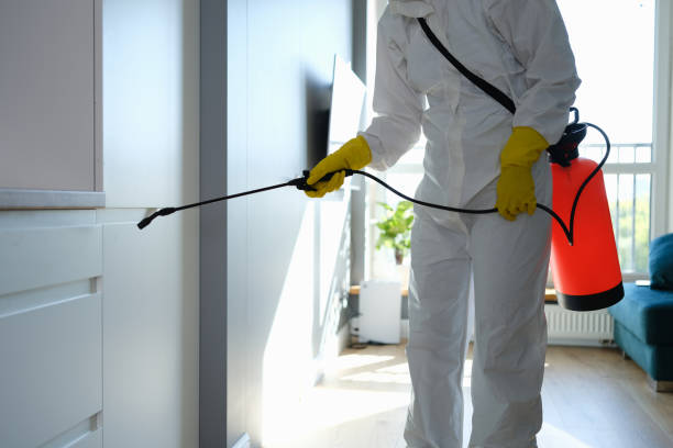 Best Crawl Space Mold Removal  in Garrettsville, OH