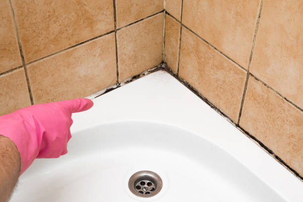 Best Office Mold Removal Services  in Garrettsville, OH